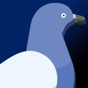 psp模擬器apk2021 使用教程