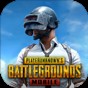 pubg國(guó)際服官方正版手游下載