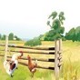 gba牧場物語男孩版教堂后面的小屋什么時(shí)候能進(jìn)