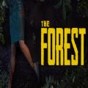 the forest聯機存檔后自己能玩嗎