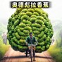 看我一命通關(guān)